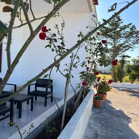Lilly's House Torre Santa Sabina