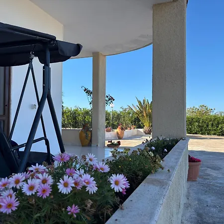 Lilly's House